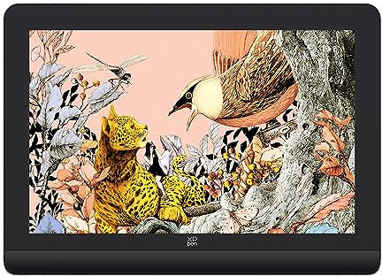 XPPen Artist PRO 16 Gen.2 Grafikdisplay 16 Zoll Pen Display mit X3 Pro Stift und Schnellfernbedienung, 99% sRGB Grafiktablett
