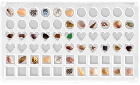 Skal displaybox | Akryl magnetisk klar smyckesorganiseringslåda 66 rutnät, hjärta fyrkantig rund akryl snäckskal förvaringsbox displaybox, snäckskal hållare rock display fodral