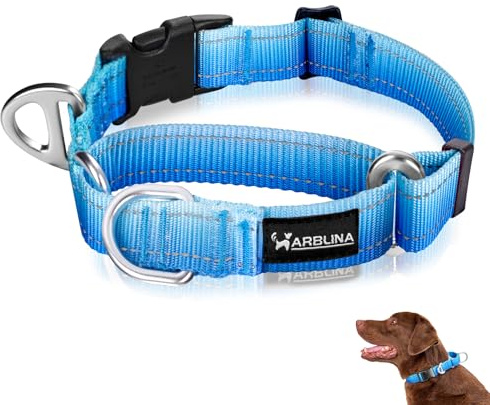 Arblina Martingale Hundehalsband, Reflektierendes Zugstopp Halsband Hunde für Große Mittlere und Kleine Hunde, Nylon Zughalsband mit Stopp für Hunde Whippets, Greyhounds, Saluki, Blau,L