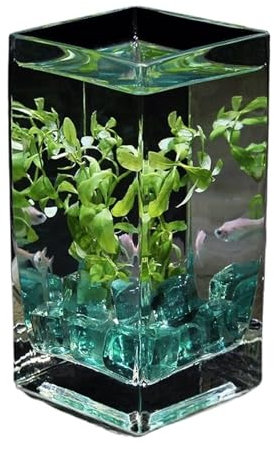 Fischschale Quadratisches, hochtransparentes Glasfischbecken mit Deckel, tropisches Fischbecken, Hydrokulturvase, Blumengefäß, kleines Fischbecken for den Schreibtisch Aquarium für(12x12x25cm)