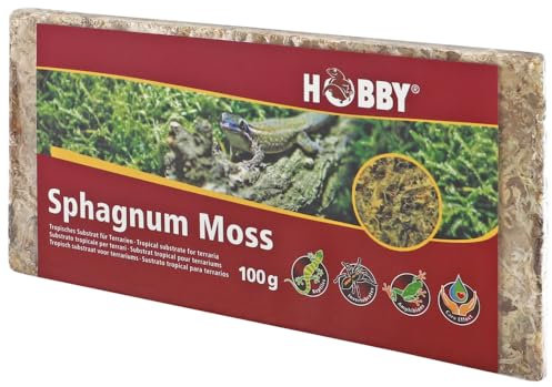 Hobby Terraristik Sphagnum Moss I 100g I tropisches Substrat für Terrarien und Orchideen I Moos für Terrarien I 100% natürlich und ohne chemische Zusätze I Moos zur Erhöhung der Luftfeuchtigkeit
