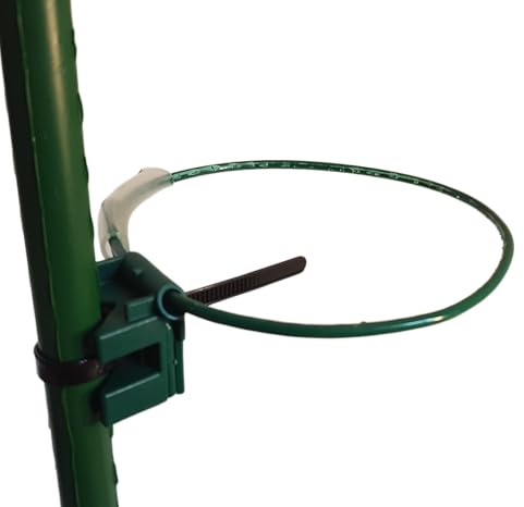 PflanzenBalance der Pflanzenhalter | Verstellbare Pflanzenhalter| verschiedene Größen Ø 7-25cm | Robuste & Witterungsbeständige Pflanzenhalter| Ideal für Alle Pflanzen & Stäbe (2 Stück XS: 7-12cm)