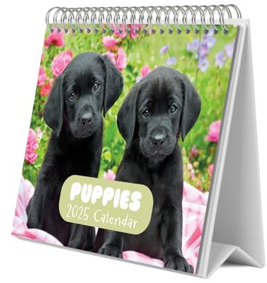 Grupo Erik Kalender 2025 Tischkalender Dogs Simon K. & Greg C. Kalender 2025 Familienplaner Tischkalender 2025 zum Aufstellen 20 x 17 cm Jahreskalender 2025, Hellgrün