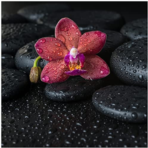 Wallario Glasbild Orchideen-Blüte auf schwarzen Steinen, benetzt mit Wasser-Tropfen - 55 x 55 cm Wandbilder Glas in Premium-Qualität: Brillante Farben, freischwebende Optik