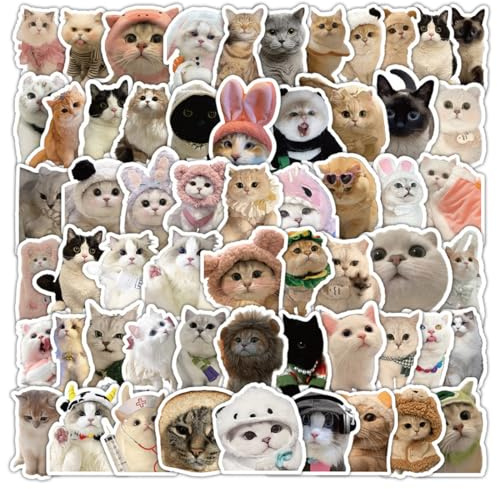 DWFEYOI 60Stück Lustiges Katzen Aufkleber Set, süße Katzen Aufkleber wasserfeste Vinyl Aufkleber ästhetische Aufkleber für Katzenliebhaber Wasserflaschen Sammelalbum Telefon,katzensticker