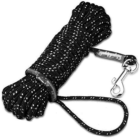 10M Schleppleine für Hunde - Trainingsleine für Kleine und Große Hunde, Hundelaufleine, Reflektierend
