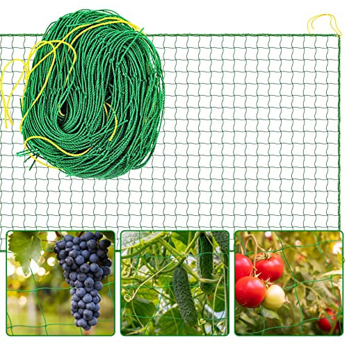 Red De Enrejado Premium Red Para Plantas Red Para Plantas Trepadoras Trellis Red De JardíN Enredadera Malla Redes Para Balcones Red De CelosíA Para Plantas Trepadoras Adecuado Para Pepinos, 1,8*3,6m