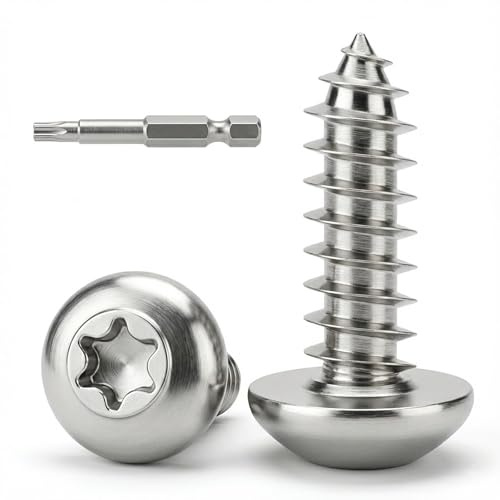 Dayalo 30 Stück Blechschrauben Torx M4 x 20 mm, Selbstschneidende Schraube Edelstahl A2 V2A, Holzschrauben Linsenkopf Vollgewinde mit Bit