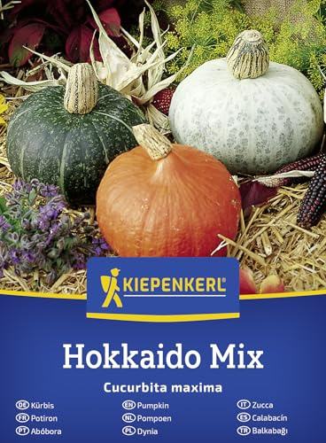 Kiepenkerl Kürbissamen Hokkaido Mix 50903, Gemüsesaat | Hokkaido-Samen 3 Sorten (Uchiki Kuri, fein-nussiger Geschmack, farbenfrohe Früchte, Speisekürbis, für Beet, Freiland & Topf