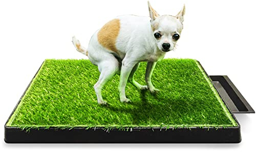 Hompet Hundeklo Hundetoilette Welpentoilette für Innen-oder Veranda, Tragbare Hundedrüsenbox für kleine, Trainingsunterlage, Wiederverwendbares Hundegraspolster mit Tablett,