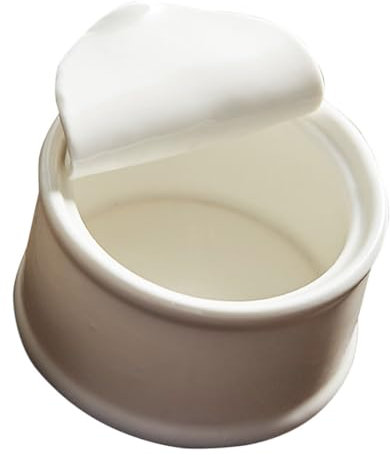 PRETYZOOM Petits Ramequins En Porcelaine Ensemble De Ramequins De Cuisson Mini Bols Pour Desserts Allant Au Four Pour Salade De Riz Paquet De 6