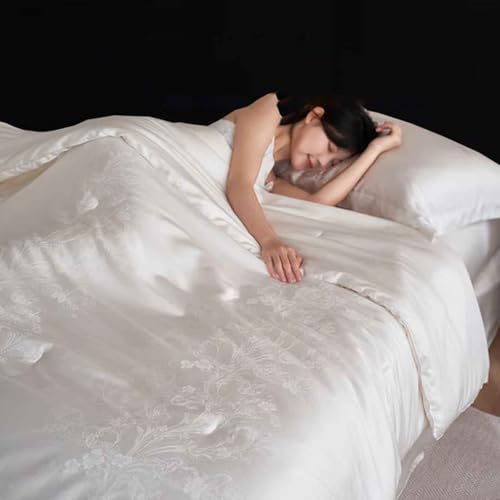 HLTQL Trapunta Matrimoniale, Piumino Invernale Imbottito in Seta di Gelso, Coperta Invernale Matrimoniale, Piumone Invernale Spesso, Piumino Trapuntato Reversibile.(220x240cm/2.65kg)