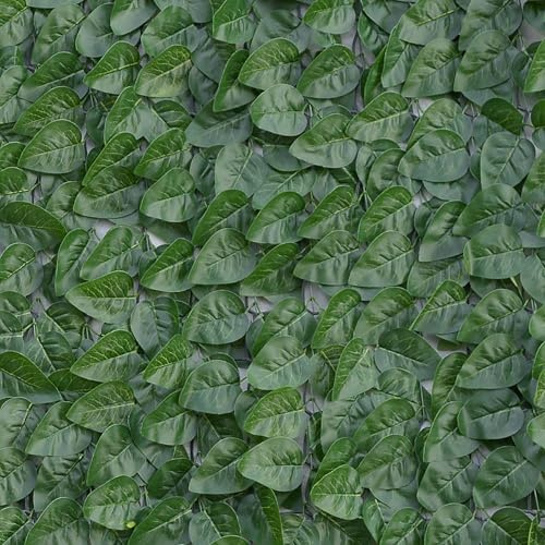 TENAX Divy Laurus Pro 150x300 cm Vert, Haie Synthétique avec Feuilles de Polyéthylène Type Laurier pour l’Occultation et la Protection des Balcons, Jardins et Clôtures