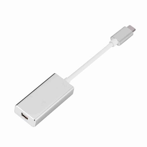 RASTKY Type-C Adapter to Mini Displayport USB 3.1 Type C a Mini Converter for New (Silver)