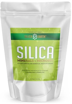 Silica Earth - Minerals + Microbes (1 lb)