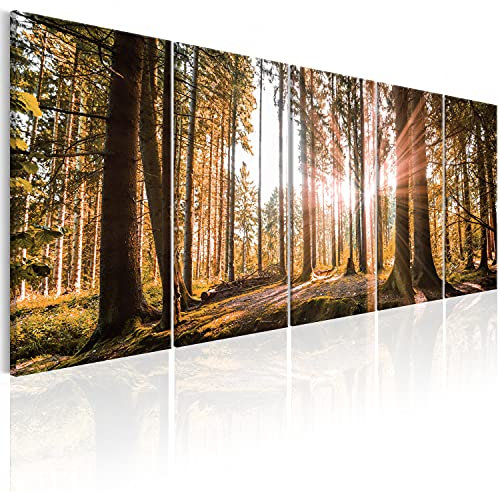 B&D XXL Acrylglasbild Wald 200x80 cm 5 Teilig Wandbild auf Acryl Glasbilder Kunstdruck Moderne Acrylglas Platte Wanddekoration Geschenke Heimdekoration Glasbild - Landschaften Natur Panorama Baume