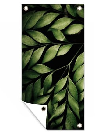 MuchoWow Outdoor-Poster Poster Wanddeko draußen Deko Garten Gartenposter 80x160 cm Die Zweige eines Farns vor einem schwarzen Hintergrund