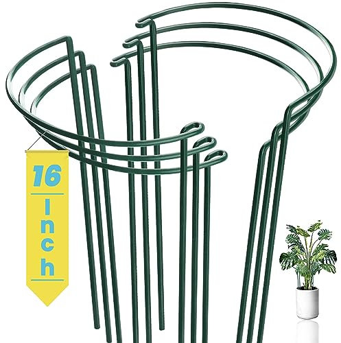 6 Stück Pflanzenstützstäbe, halbrunde Metall-Gartenstecker, grüne Pflanzenstützringe – stabil, rostfrei und langlebig für Innen- und Außenpflanzen wie Gemüse, Pfingstrosen und Hortensien