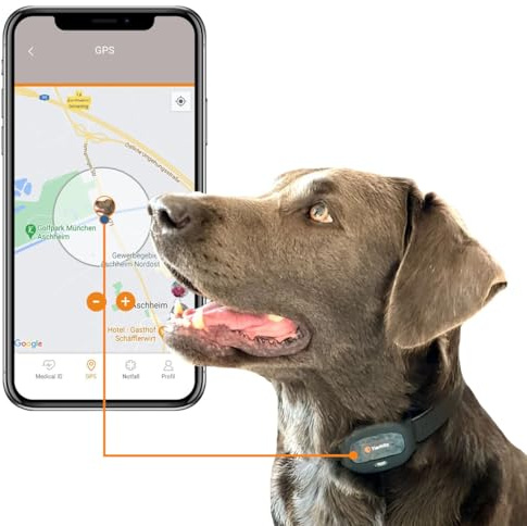 Tierfritz GPS Tracker für Hunde – Hunde GPS Tracker mit Live-Tracking, Weglaufalarm, Aktivitäts- & Schlaftracking, weltweit, wasserdicht – GPS Tracker Hund (ABO separat über App)