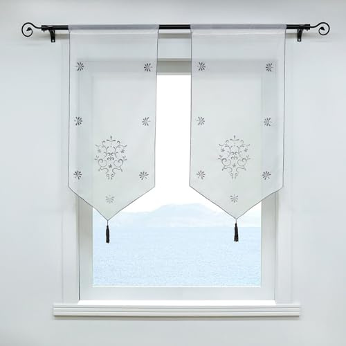 ESLIR Scheibengardine mit Tunnelzug Gardinen Küche Bistrogardinen Transparent Stores Panneaux Voile Grau BxH 40x90cm 1 Stück