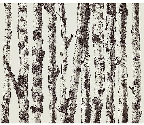 murando Fototapete selbstklebend Natur 343x256cm Foto Tapete Tapetenfolie Möbelfolie Wandverkleidung Wandtapete Motivtapeten Bildtapete Wohnzimmer 3d Effekt Modern Bäume Birke Wald Abstrakt Birkenwald