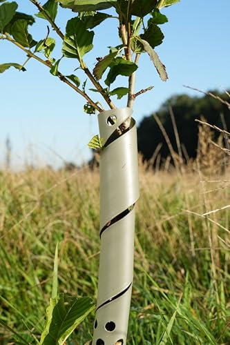 50x Baumschutz Spirale 60cm biologisch abbaubar farngrün – Stamm Schutz Bäume Verbissschutz Fraßschutz Rindenschutz Wildschutz UV-beständig wetterfest Spiralschutz Forst Garten Aufforstung