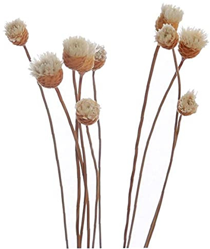 Onsinic 20 Pc-diffusor-Sticks Rattan Flower Bud Rose Ersatz Refill Rattanstöcke Für Essential Oil Diffuser