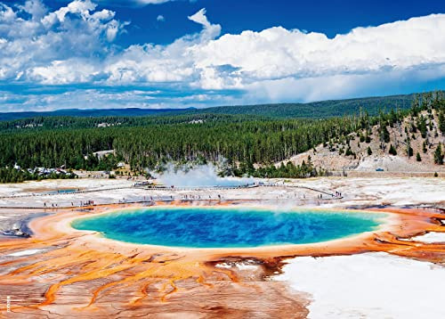 BEDUKE Casse-tête pour Adultes 1000 pièces – Chaque pièce est Unique – Parc National de Yellowstone en Carton épais et Robuste – Puzzle de Jeu Familial à emboîter avec précision à partir de 14 Ans