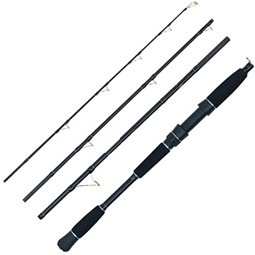 WFT Sea Dart Norway Fjord 4pcs. 2,10m 12lbs 30-120g Reise-Meeresrute