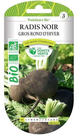 Graines de radis noir gros rond d'hiver BIO Les Doigts Verts