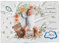 Fantalò Coperta Mesi Neonato per Foto in Italiano Unisex - Tappeto Complimese Neonata Crearicordi - Idea Regalo Nascita Bimbo Indispensabile per Neogenitori (Orsacchiotto)
