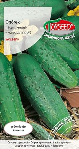 Verdica Julian F1 Gurkensamen Cucumis sativus – Früher Hybrid, ertragreich, ideal zum Einlegen, krankheitsresistent, lebendige Schale, perfekt für gemäßigte Gärten (3 Gramm)