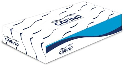 Veline cosmetiche facciali a 2 Veli 21x21 cm Cartone da 4000 pezzi composta da 40 Confezioni da 100 pezzi Monouso Struccanti morbide in pura cellulosa