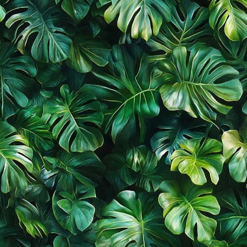 Generisch Selbstklebende Tapete 44x300 cm Klebefolie Möbel Monstera Blätter Dekorfolie Möbelfolie Tropische Pflanzen Mustertapete Wandtapete Wohnzimmer Schlafzimmer Wasserdicht Wallpaper Küche