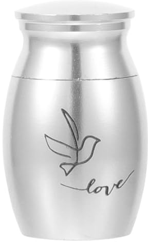 IDEANATEGRATE Mini Urna Capacidad Pequeña Sello Hermético en Acero Inoxidable Plata para Cremación de Cenizas de Pájaro para Memorial Elegante y Delicado