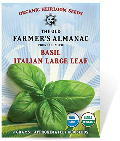 The Old Farmer's Almanac Organic Basil Seeds (Italian Large Leaf) - Approx 450 Seeds - Certified Organic, Non-GMO, Open Pollinated, Heirloom