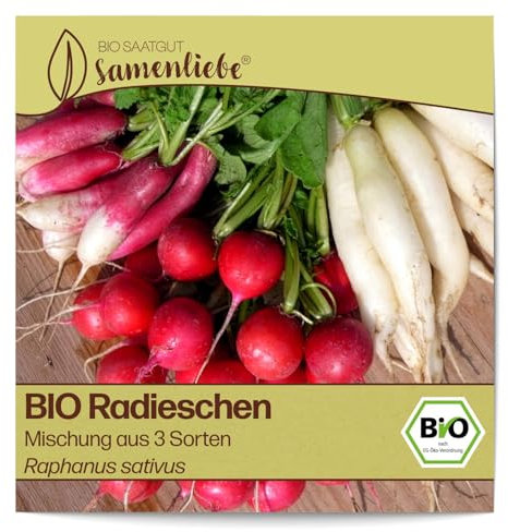 Samenliebe BIO Radieschen Samen Gemüsesamen Mischung aus 3 Sorten 200 Samen Gemüse Samen Garten Radieschen Saatgut samenfeste einjährig Pflanzen für Gewächshaus, Garten und Balkon