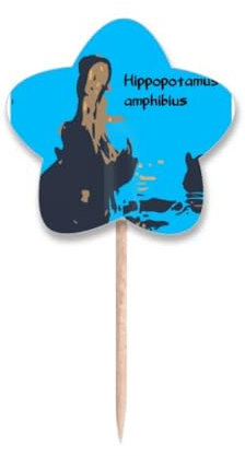 Picconi per cupcake con bandiera di ippopotamo d'acqua dolce con bandiera a forma di stella