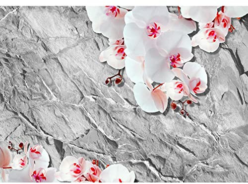 Runa Art Papel tapiz fotográfico 396 x 280 cm Orquídeas flores Stein | Lana Decoración De Pared Sala Cuarto | Fabricación alemana | gris rojo 9460012a