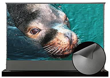 Vivid Storm Since 2004-Long Focus Ambient Light Rejecting Screen Material,Motorized Floor-Rising Projection Screen,Compatible with Lumen up to 2500ANSI of Normally Projector,VSDSTALR120H