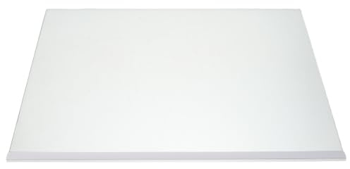 Homoyoyo Estante de Vidrio Templado Borde Envuelto Placa Divisoria Fácil Limpieza y Organización de 400x280mm para Refrigerador y Congelador