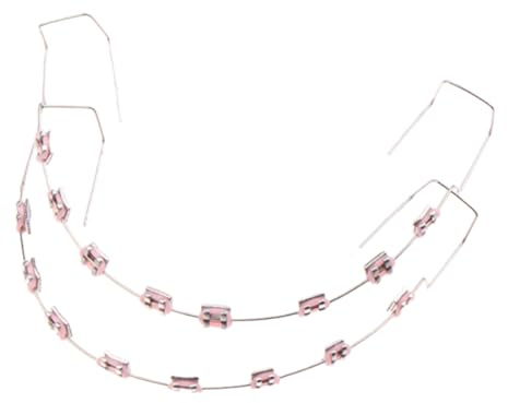 ZoraYorce 1 PAIL DENTAL FAKTE BRACES con caja de almacenamiento, modelos de dientes, decoración (rosa)