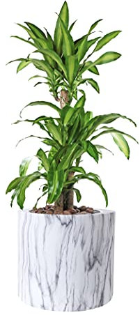 wuuhoo I Pflanzkübel Lily in weißer Marmoroptik mit Pflanzeinsatz I Wetterfest für Innen und Außen I Pflanzsäule, Bodenvase wasserdicht aus frostbeständigem Fiberglas 40 cm