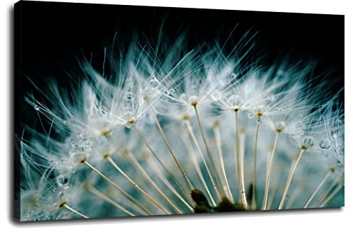 Pusteblume Blume Wassertropfen Regentropfen Natur Schlag Wandkunst Leinwanddruck Poster für Zuhause Set von 1 Dekorationen mit gerahmtem %! (Float64=2e+01) x%! (Float64=2e+01)