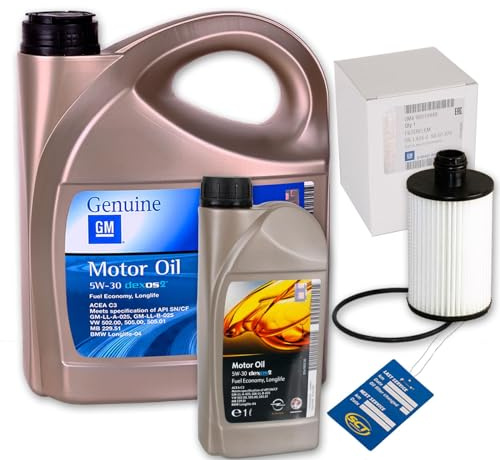 Öl-WECHSEL + Ölfilter + Motoröl 5W30 passend für