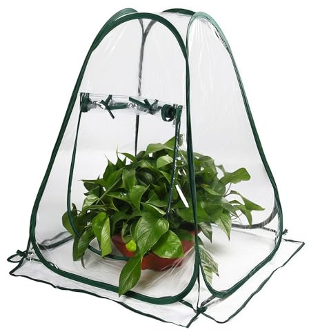 Pop Up Gewächshaus Kleines: Mini Gewächshaus 70x70x80cm, Transparentes PE Überwinterungszelt für Pflanzen, Mini Foliengewächshaus Gewächshaus Winterschutz, für Pflanzen und Blumen