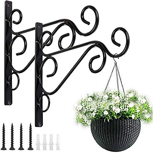 Pflanze Wandhalterung hängende Klammern Haken Pflanzenkorb Kleiderbügel Halter 10 Zoll Indoor Outdoor Metallklammern mit Schrauben Gartenkörbe hängende Pflanzgefäße Laterne Windspiele (2PACK)