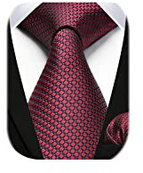 HISDERN Herren Krawatte Hochzeit Burgund karierte Krawatten Taschentuch Blumen Elegant Klassisch Krawatte & Einstecktuch Set