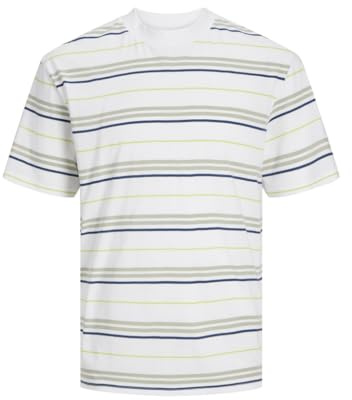 JACK&JONES JCOLOTUS Stripe Tee SS Crew Neck, Vit/ränder: desert/blå/lime, L