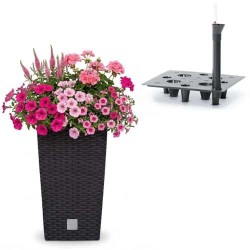 Prosperplast Blumentopf in Rattan-Optik mit Einsatz und Bewässerungssystem | anthrazit | wetterfest & UV-beständig | aus robustem Kunststoff | für Innen- und Außenbereich | 26,5 x 26,5 x 50 cm